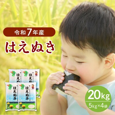 【令和7年産米】2026年1月中旬発送 はえぬき20kg 山形県産 【JAさがえ西村山】