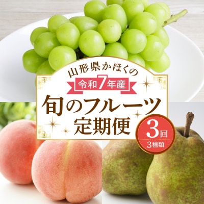 【計3回お届け(シャインマスカット入り)】令和7年産 山形県かほくの旬のフルーツ定期便【かほくらし社