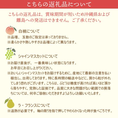 【計4回お届け(さくらんぼ入り)】令和7年産 山形県かほくの旬のフルーツ定期便【かほくらし社】