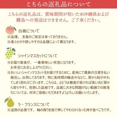 【計4回お届け(さくらんぼ入り)】令和8年産 山形県かほくの旬のフルーツ定期便【かほくらし社】