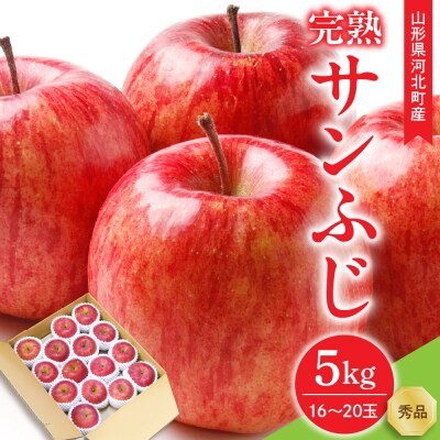 【令和7年産】サンふじりんご 完熟 5kg(約16～20玉) ギフトBOX入り 山形県河北町産