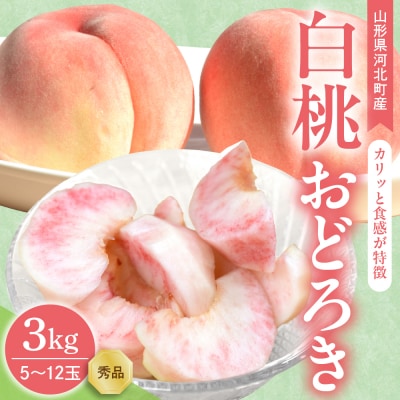 【令和7年産】白桃 おどろき 3kg(5～12玉前後) ギフト用 山形県河北町産