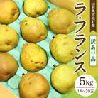 【訳あり令和7年産】 洋梨 ラフランス 5kg 山形県河北町産【山形eLab】
