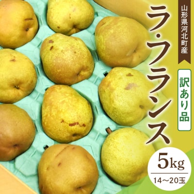 【訳あり令和7年産】 洋梨 ラフランス 5kg 山形県河北町産【山形eLab】