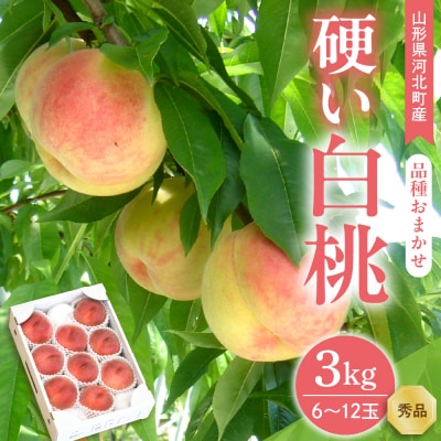 【令和8年産】硬い白桃 3kg(6～12玉前後) ギフト用 品種おまかせ 山形県河北町産