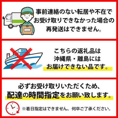 【令和8年産】硬い白桃 3kg(6～12玉前後) ギフト用 品種おまかせ 山形県河北町産