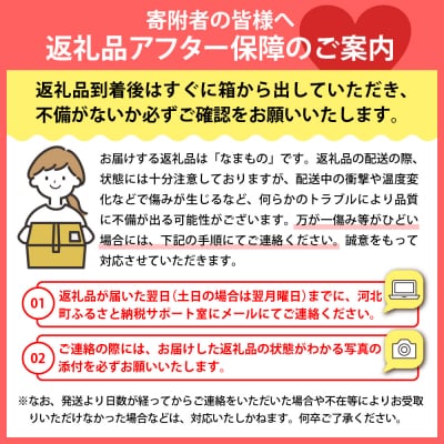 【令和8年産】白桃&黄桃 3kg(7～13玉前後) ギフト用 品種おまかせ 山形県河北町産