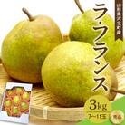 【令和7年産】洋梨 ラフランス 3kg(7～11玉前後) ギフト箱入り 山形県河北町産