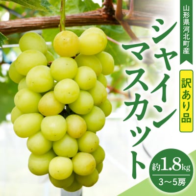 【訳あり 令和8年産】 ぶどう シャインマスカット 約1.8kg(3～5房) 山形県河北町産