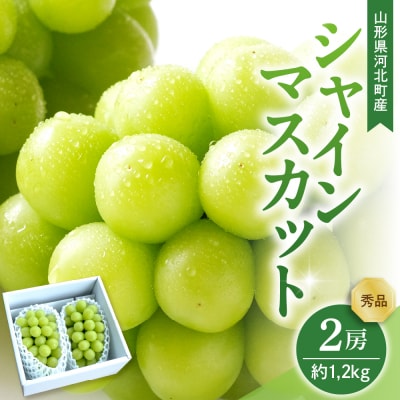 【令和7年産】 ぶどう シャインマスカット 2房入り(1房600g前後) 秀品 山形県河北町産