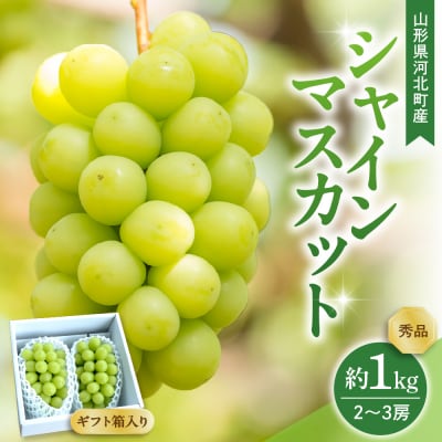 【令和8年産】 ぶどう シャインマスカット 2～3房 約1kg ギフト箱入り 秀品 山形県河北町産