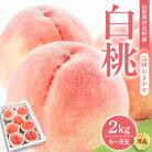 【令和8年産】白桃 品種おまかせ 2kg (6～8玉前後) ギフト箱入 秀品 山形県産