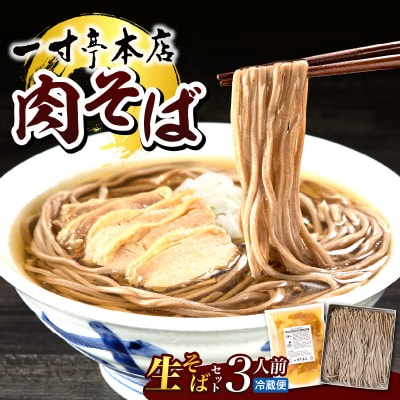 【一寸亭本店】 冷たい肉そば 3人前(190g×3束) 