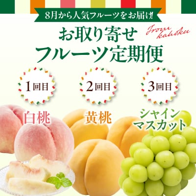 【令和8年産】8月から人気フルーツをお届け!お取り寄せフルーツ定期便 3回