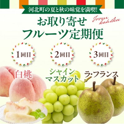 【令和8年産】河北町の夏と秋を満喫!お取り寄せフルーツ定期便3回