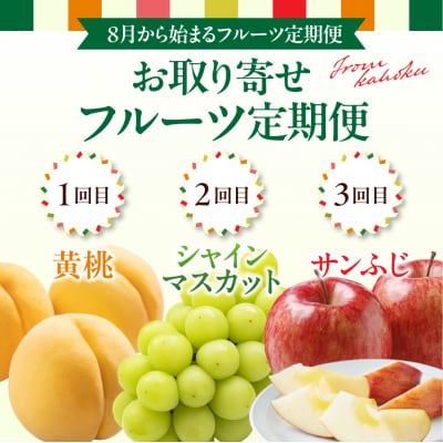 【令和8年産】8月から始まる・お取り寄せフルーツ定期便 3回 (黄桃・シャインマスカット・サンふじ)