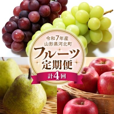 【令和7年産】山形県河北町産 フルーツ4回定期便【米COMEかほく協同組合】