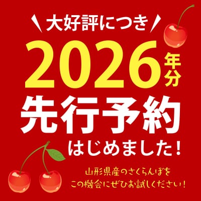 【令和8年産】さくらんぼ 佐藤錦 500g L玉以上 ギフト箱入 秀品 山形県 【山形eLab】