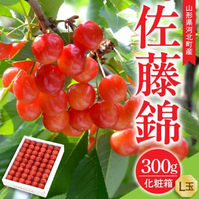 【令和8年産】さくらんぼ 佐藤錦 300g L玉 手詰め 特秀品 化粧箱入 山形県産 山形eLab