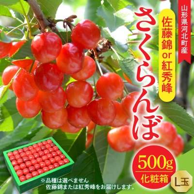 【令和8年産】さくらんぼ 佐藤錦or紅秀峰 500g L玉 手詰め 特秀品 化粧箱入 山形県河北町