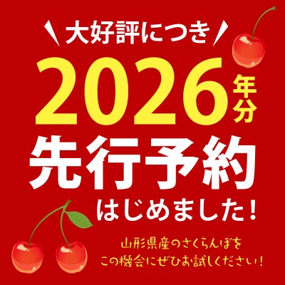 【令和8年産】さくらんぼ 佐藤錦or紅秀峰 500g L玉 手詰め 特秀品 化粧箱入 山形県河北町