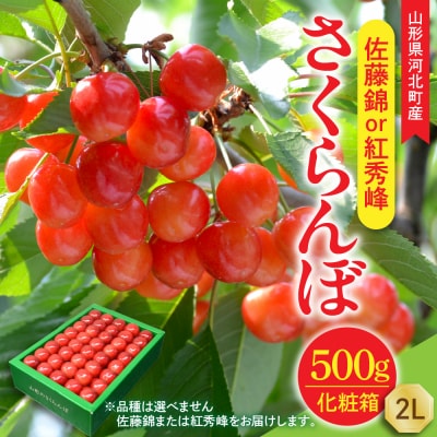 【令和8年産】さくらんぼ 佐藤錦or紅秀峰 500g 2L玉 手詰め 特秀品 化粧箱入 山形県河北町