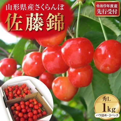 【令和9年産】 さくらんぼ「佐藤錦」 1kg(500gバラ詰め×2) 秀以上 Lサイズ 河北町産