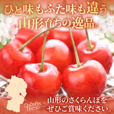 【令和9年産】 さくらんぼ「佐藤錦」 1kg(500gバラ詰め×2) 秀以上 Lサイズ 河北町産