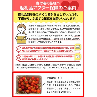 【2026年産先行予約】さくらんぼ紅秀峰 秀以上 2L 1kg(500gバラ詰め×2パック)
