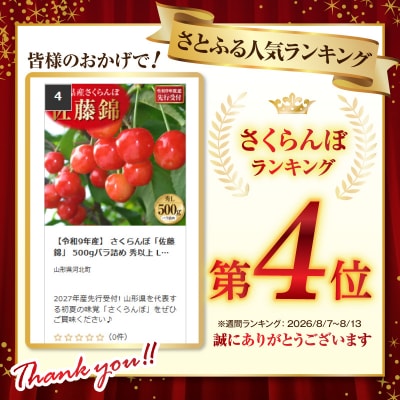 【令和9年産】 さくらんぼ「佐藤錦」 500gバラ詰め 秀以上 Lサイズ 河北町産