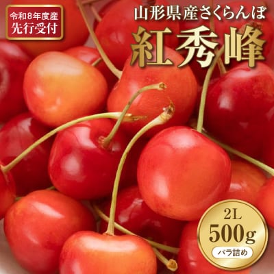 【2026年産先行予約】さくらんぼ紅秀峰 秀以上 2L 500g(500gバラ詰め×1パック)