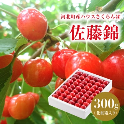 【令和8年産】ハウスさくらんぼ「佐藤錦」300g化粧箱 山形県河北町産【JAさがえ西村山】
