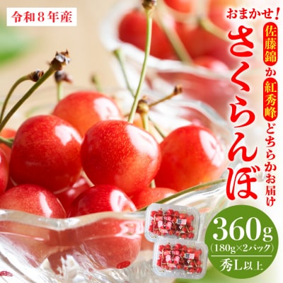【令和8年産】おまかせさくらんぼ「佐藤錦or紅秀峰」秀L以上 360g (180gフードパック×2)