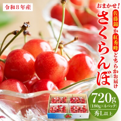 【令和8年産】おまかせさくらんぼ「佐藤錦or紅秀峰」秀L以上 720g (180gフード×4パック)