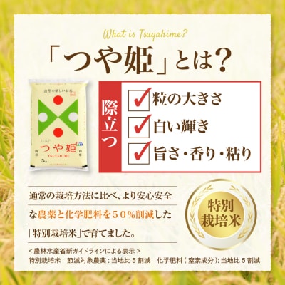 【令和7年産米】2026年3月上旬発送 つや姫10kg(5kg×2袋) 山形県産 【JAさがえ西村山
