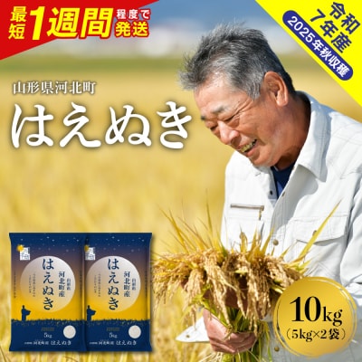 【令和7年産米】最短1週間程度発送 はえぬき10kg 山形県産 【米COMEかほく】