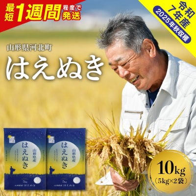 【令和7年産米】最短1週間程度発送 はえぬき10kg 山形県産 【米COMEかほく】
