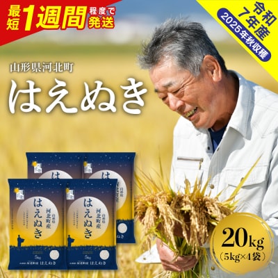 【令和7年産米】最短1週間程度発送 はえぬき20kg 山形県産 【米COMEかほく】