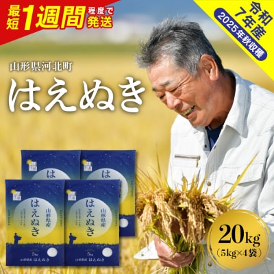 【令和7年産米】最短1週間程度発送 はえぬき20kg 山形県産 【米COMEかほく】