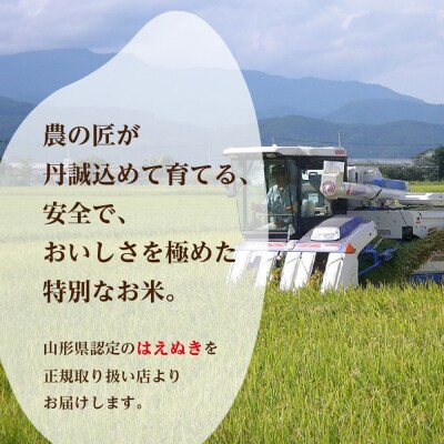 【令和7年産米】2026年2月後半発送 はえぬき15kg(5kg×3袋)山形県産【丹野商店】