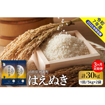 【令和7年産米】2026年1月上旬発送 はえぬき30kg(10kg×3ヶ月)毎月定期便  山形県産 