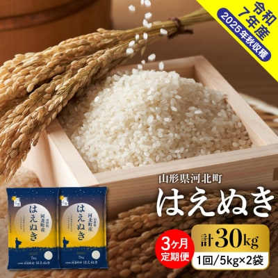 【令和7年産米】2026年4月上旬発送 はえぬき30kg(10kg×3ヶ月)毎月定期便  山形県産 