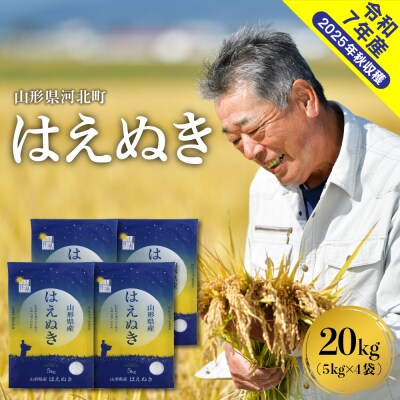 【令和7年産米】2026年7月上旬発送 はえぬき20kg(5kg×4袋) 山形県産