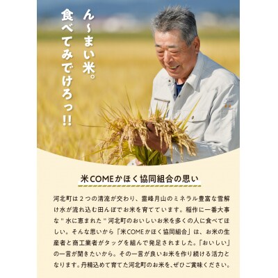 【令和7年産米】2026年7月下旬発送 雪若丸 20kg 山形県産 【米COMEかほく】