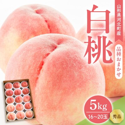 【令和8年産】白桃 品種おまかせ 5kg(約16～20玉前後) ギフト箱入 秀品 山形県産
