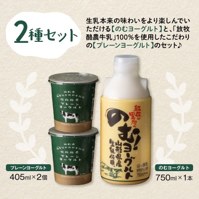 奥羽のむヨーグルト750ml × 1本と放牧酪農プレーン405g × 2個セット