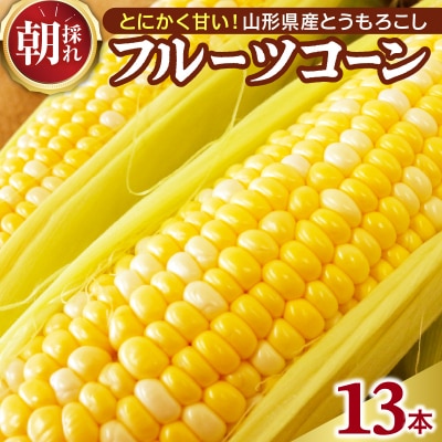 【令和8年産】とにかく甘い、朝採りとうもろこし「フルーツコーン」 13本 【かほくらし社】