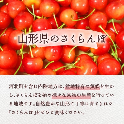 【令和8年産】さくらんぼ やまがた紅王 300g 3L玉 バラ詰め 秀品 化粧箱入 