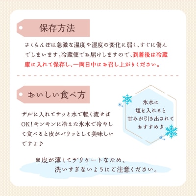 【令和8年産】さくらんぼ やまがた紅王 300g 3L玉 バラ詰め 秀品 化粧箱入 