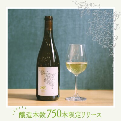 【河北町産ぶどう100%使用】Delaware Niagara2025(750ml×1本)